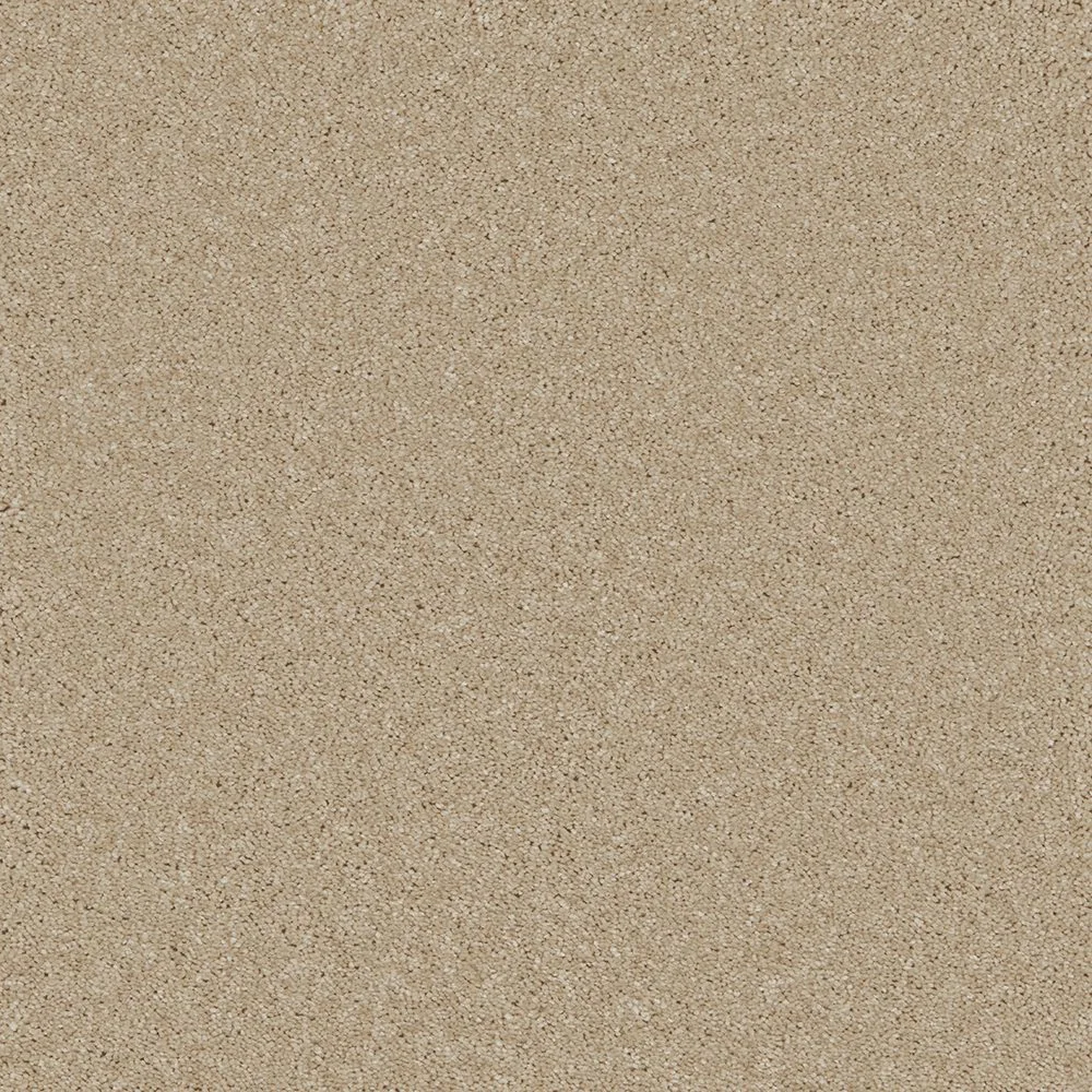Bliss & Bliss Comfort Carpets by Furlong Flooring