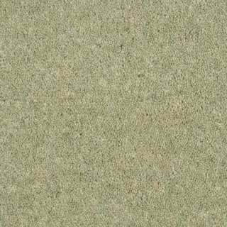 Alpine Meadow