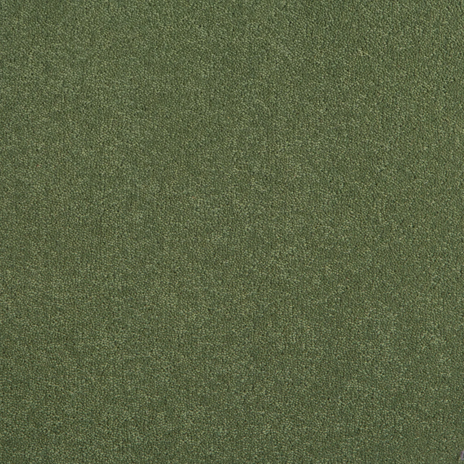 Durham Twist Carpet by Hugh Mackay | Quality Carpets