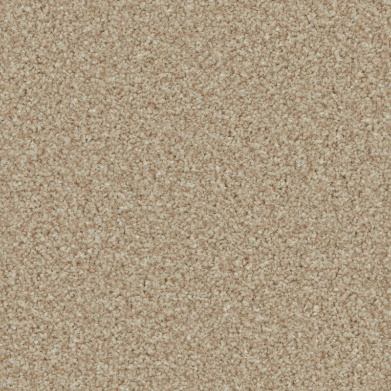 All Carpets Caracal