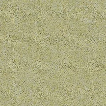 Moss Soft Green