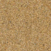 Greyling Biscotti