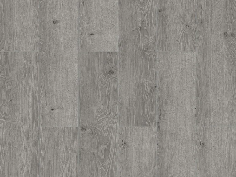 River Nile Oak