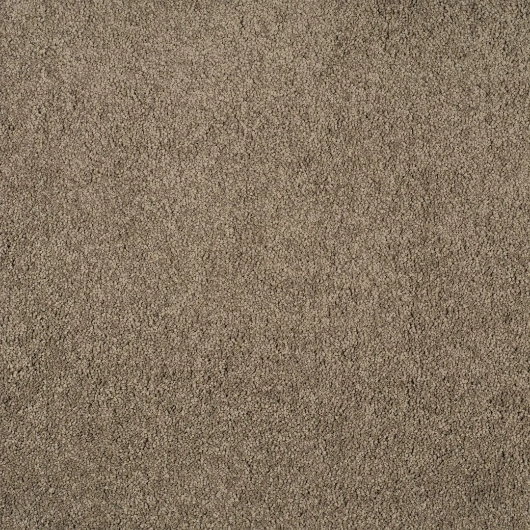 Magical Feeling Carpet by Balta – Quality Flooring