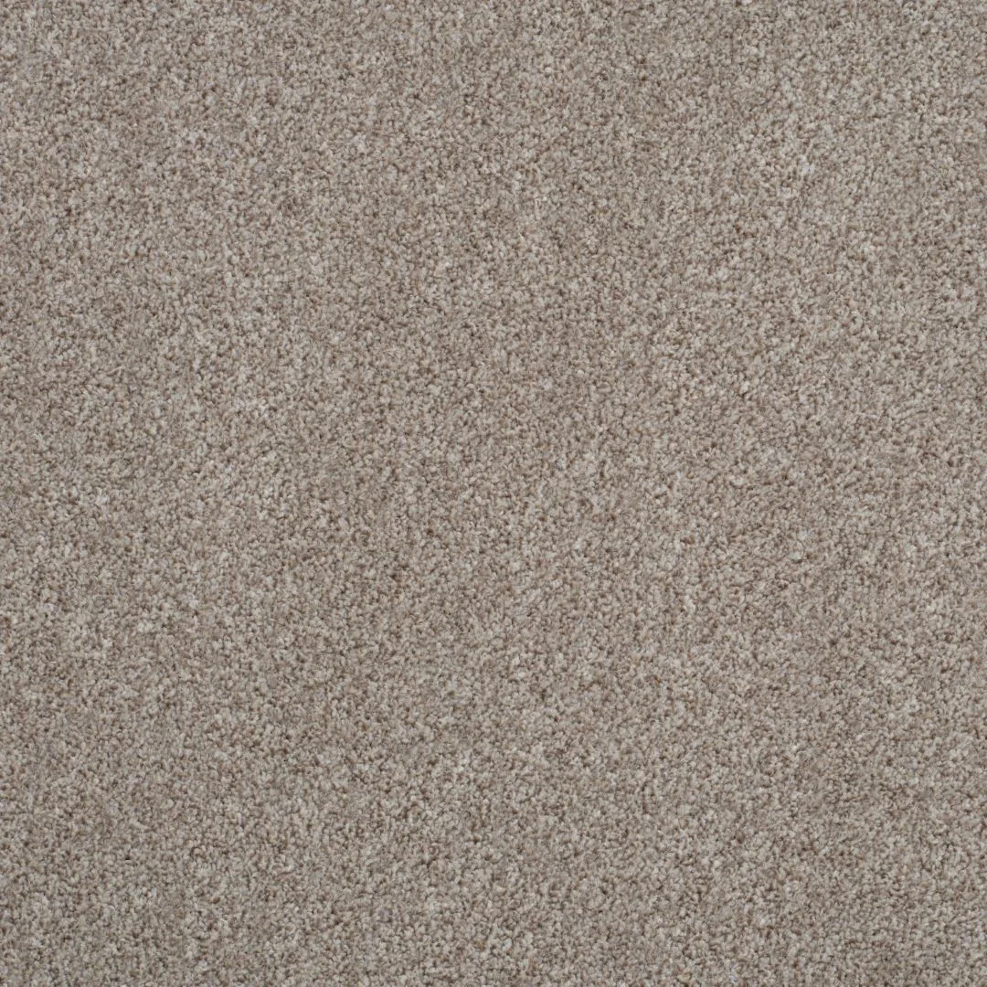 Shepherd Twist Carpet by Balta - Quality Carpets WV11