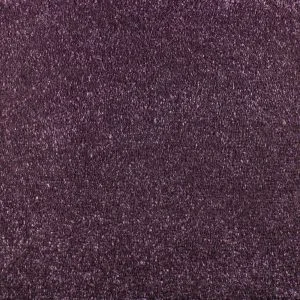 Serendipity Plum