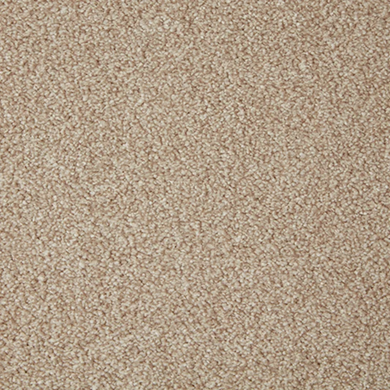 All Carpets String