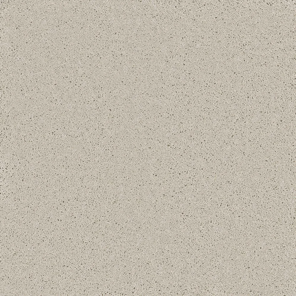Bliss & Bliss Comfort Carpets by Furlong Flooring