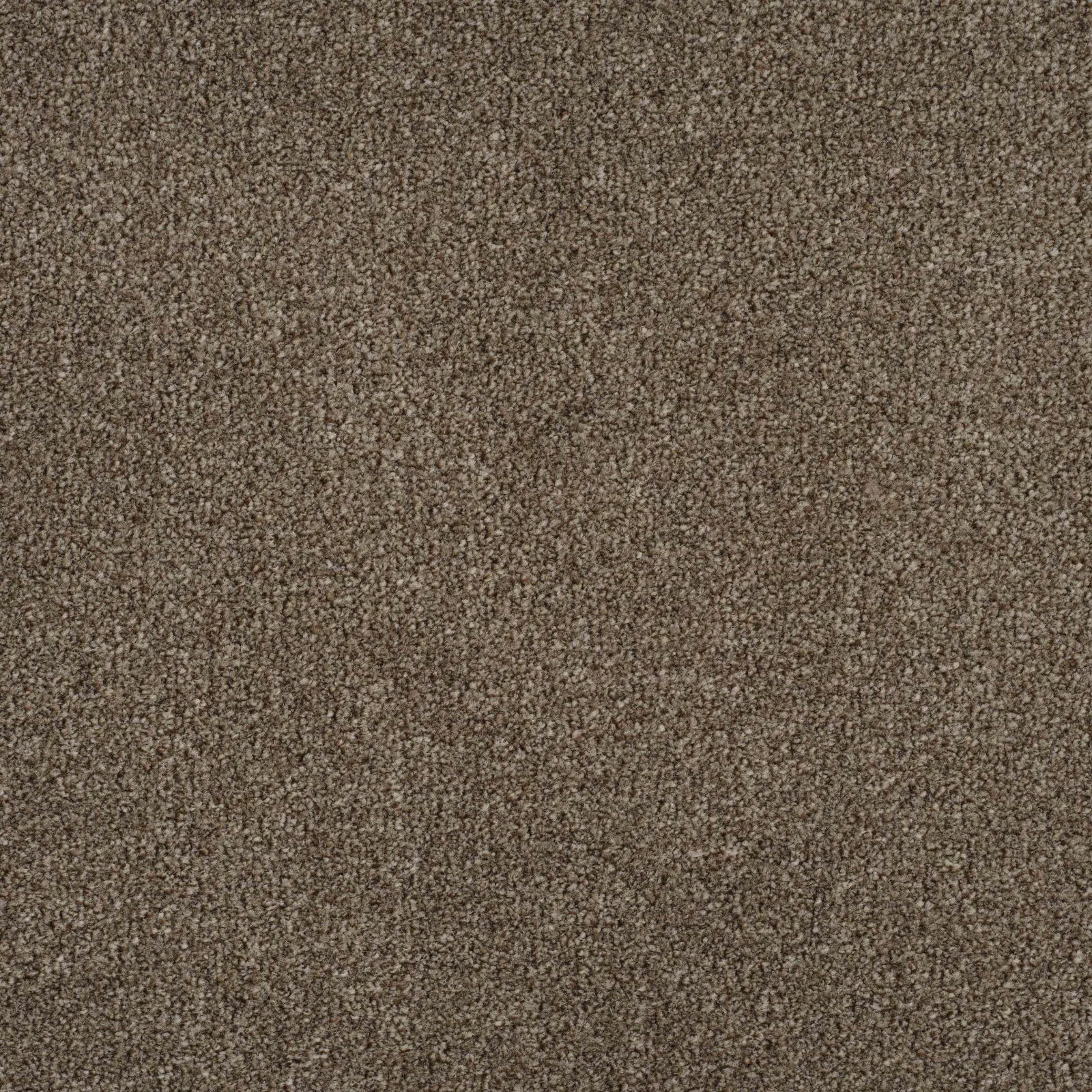 Essence Carpet by Balta | Quality Carpets in Wednesfield