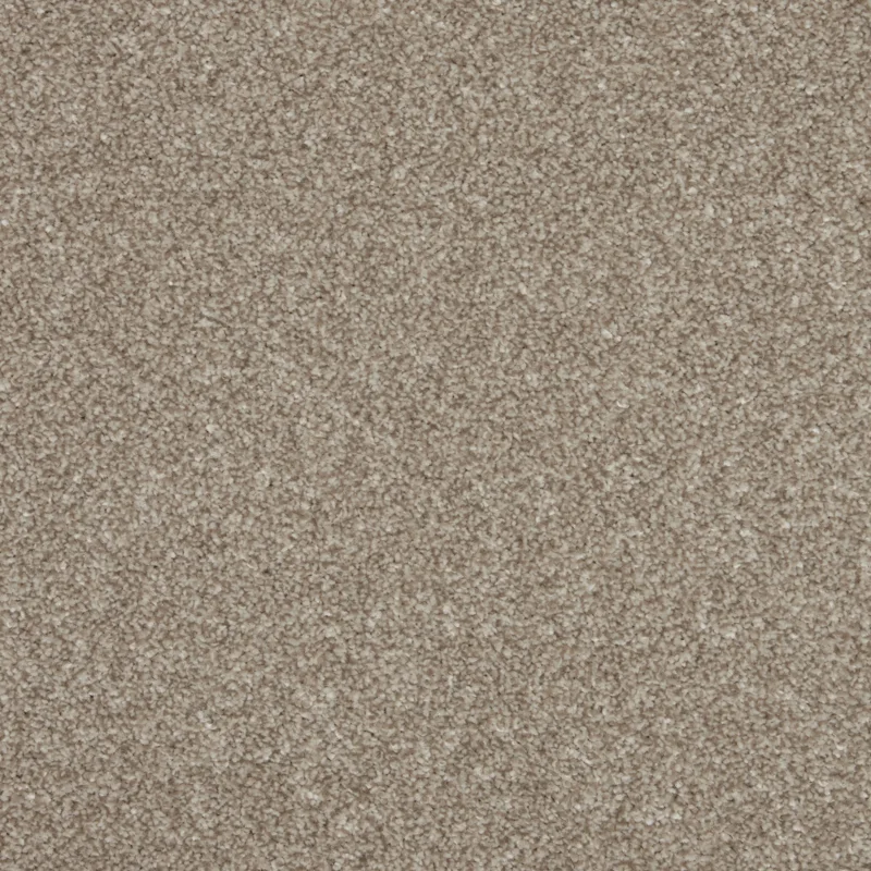 All Carpets Ganache