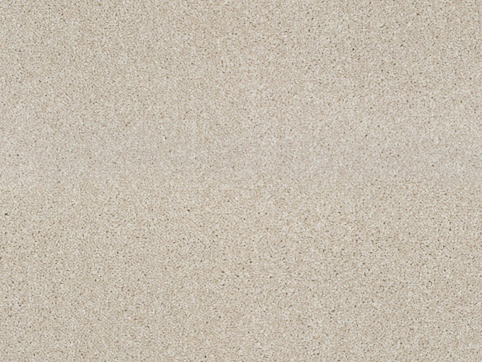 Heathertwist Elite Carpet by Lano | Quality Carpets in WV11