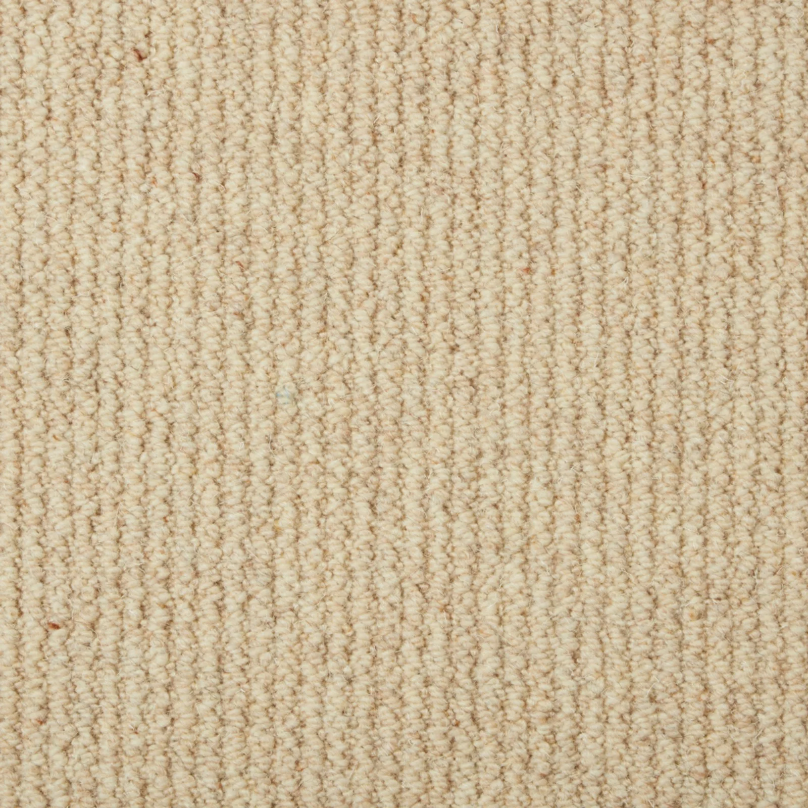 Malabar Two Fold