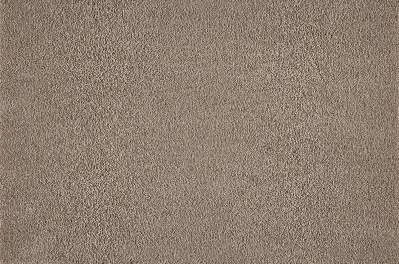 Boulevard 260Camel