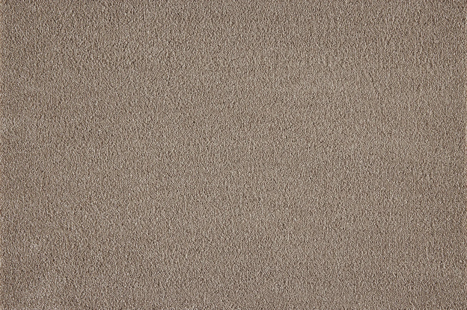 Boulevard Carpet by Lano - Quality & Style