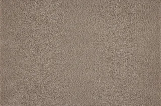 260Camel