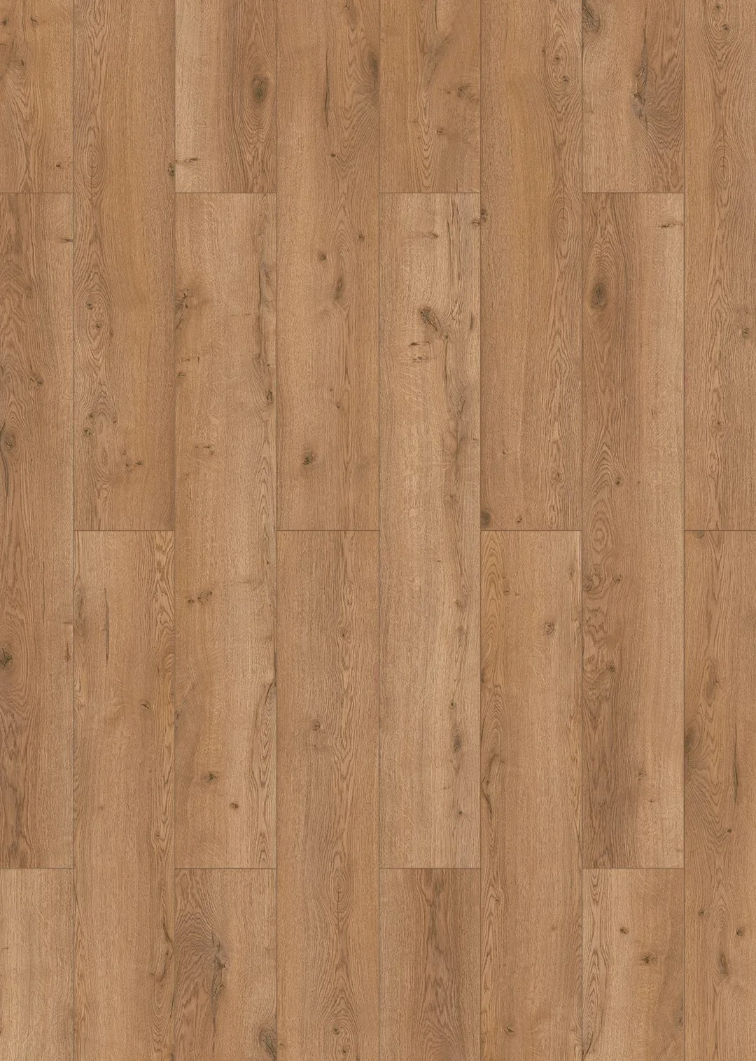Taunus 8mm Laminate Flooring by Furlong Flooring