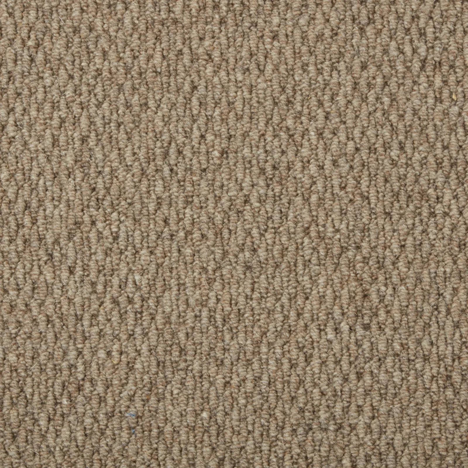 Malabar Two Fold Carpet by Cormar Carpets - Quality Design