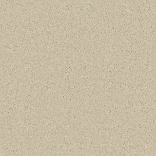 Zenith Caribou