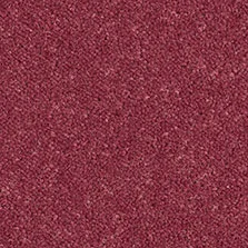 Ultima Twist Dogwood