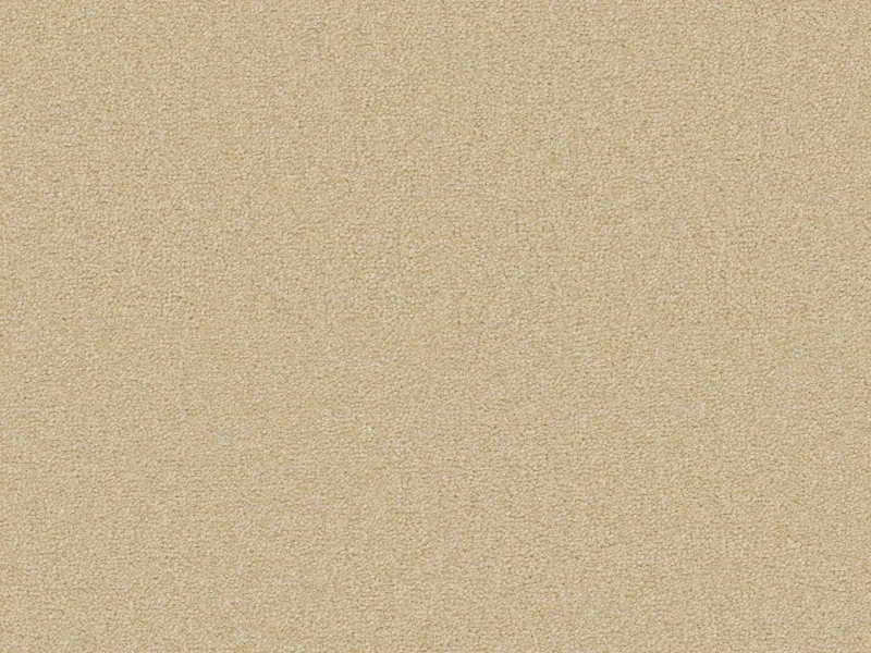 Sienna 240Cream
