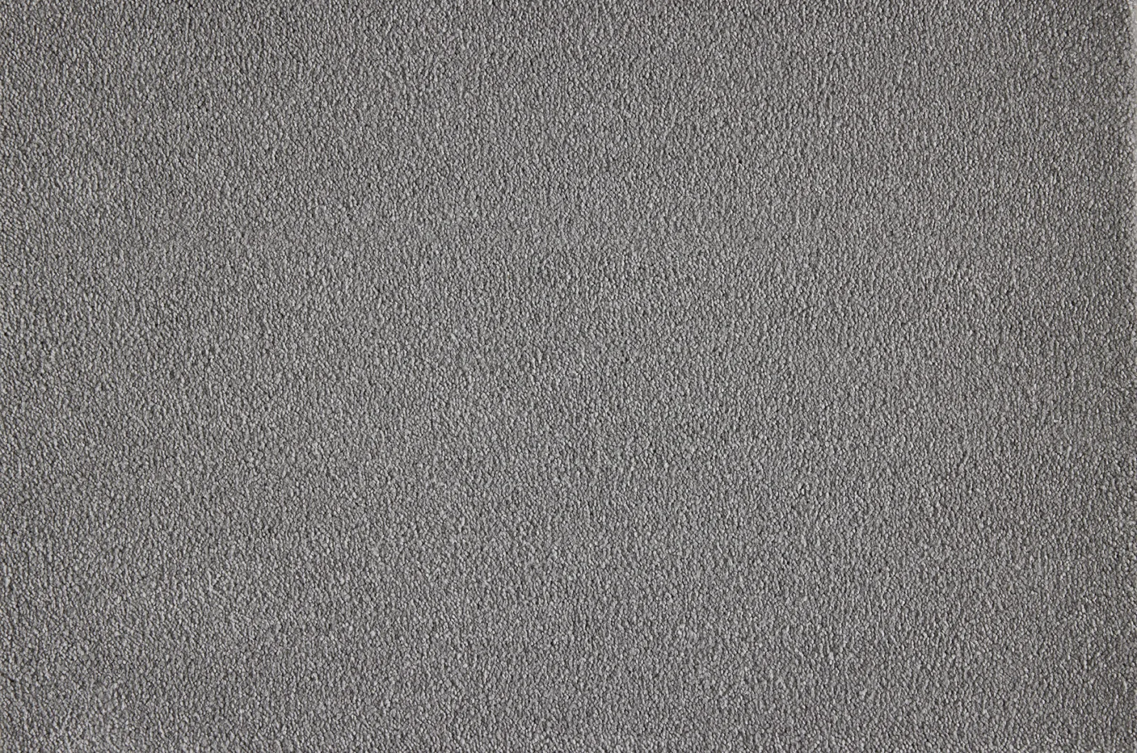 Boulevard Carpet by Lano - Quality & Style