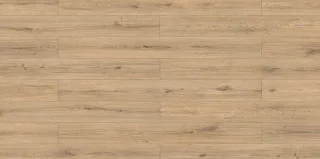 Sand Oak