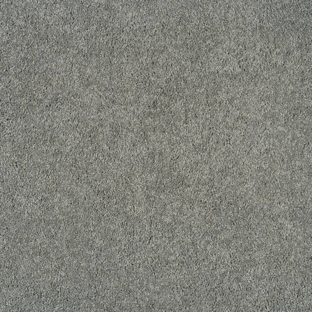 Magical Feeling Carpet by Balta – Quality Flooring