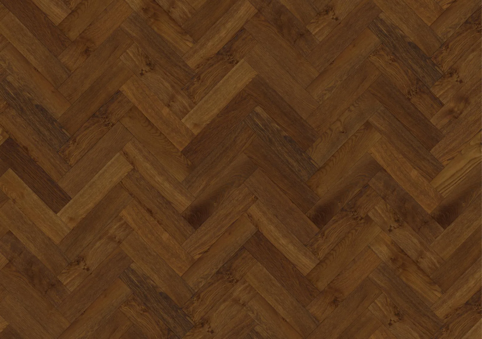our Lignum Strata