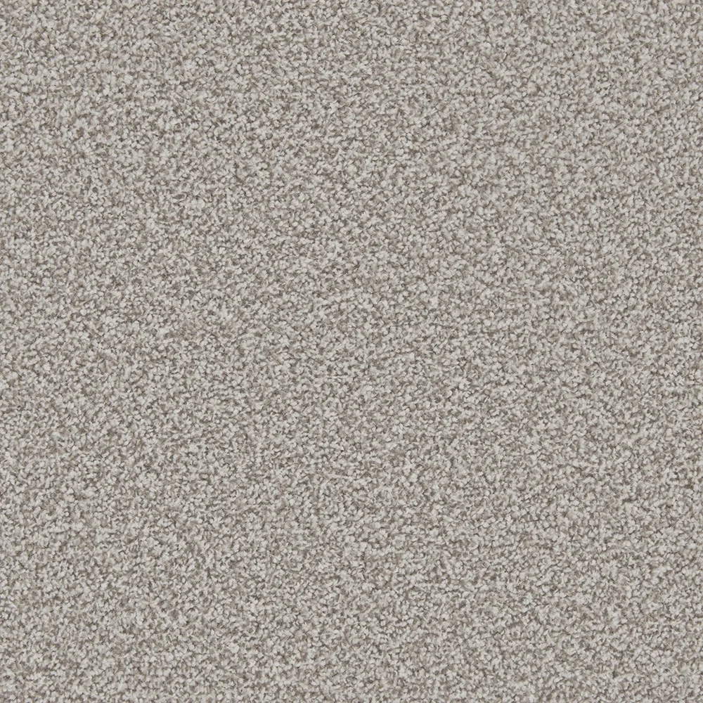 Apollo Plus Carpet by Cormar Carpets | Quality Flooring