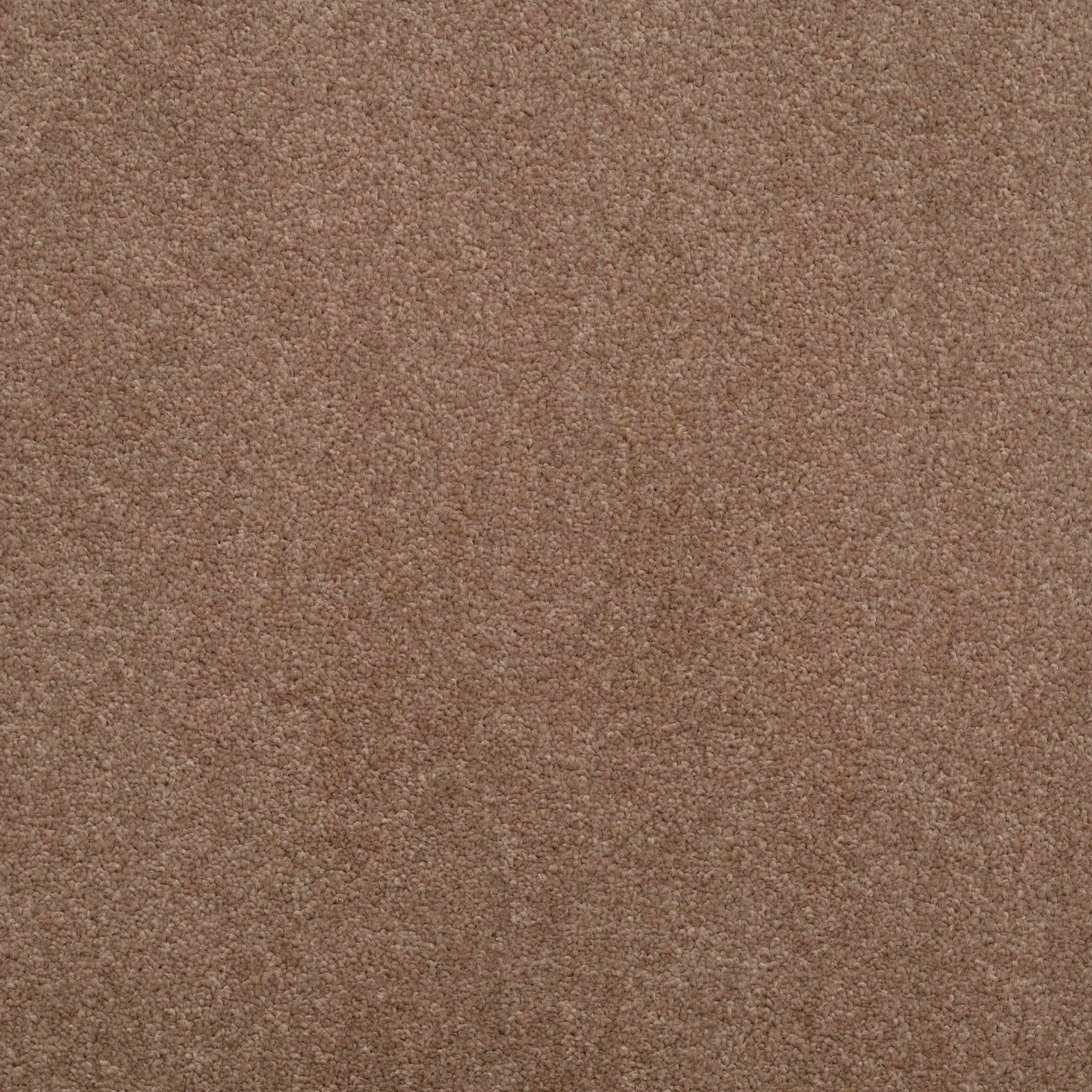 Shepherd Twist Carpet by Balta - Quality Carpets WV11
