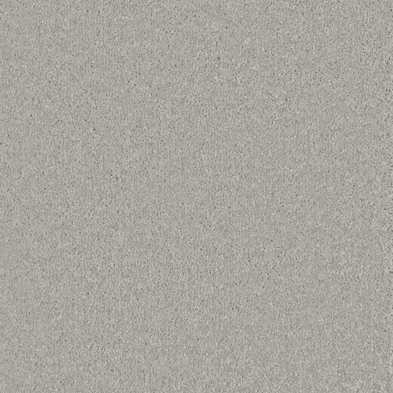 Bliss & Bliss Comfort Carpets by Furlong Flooring