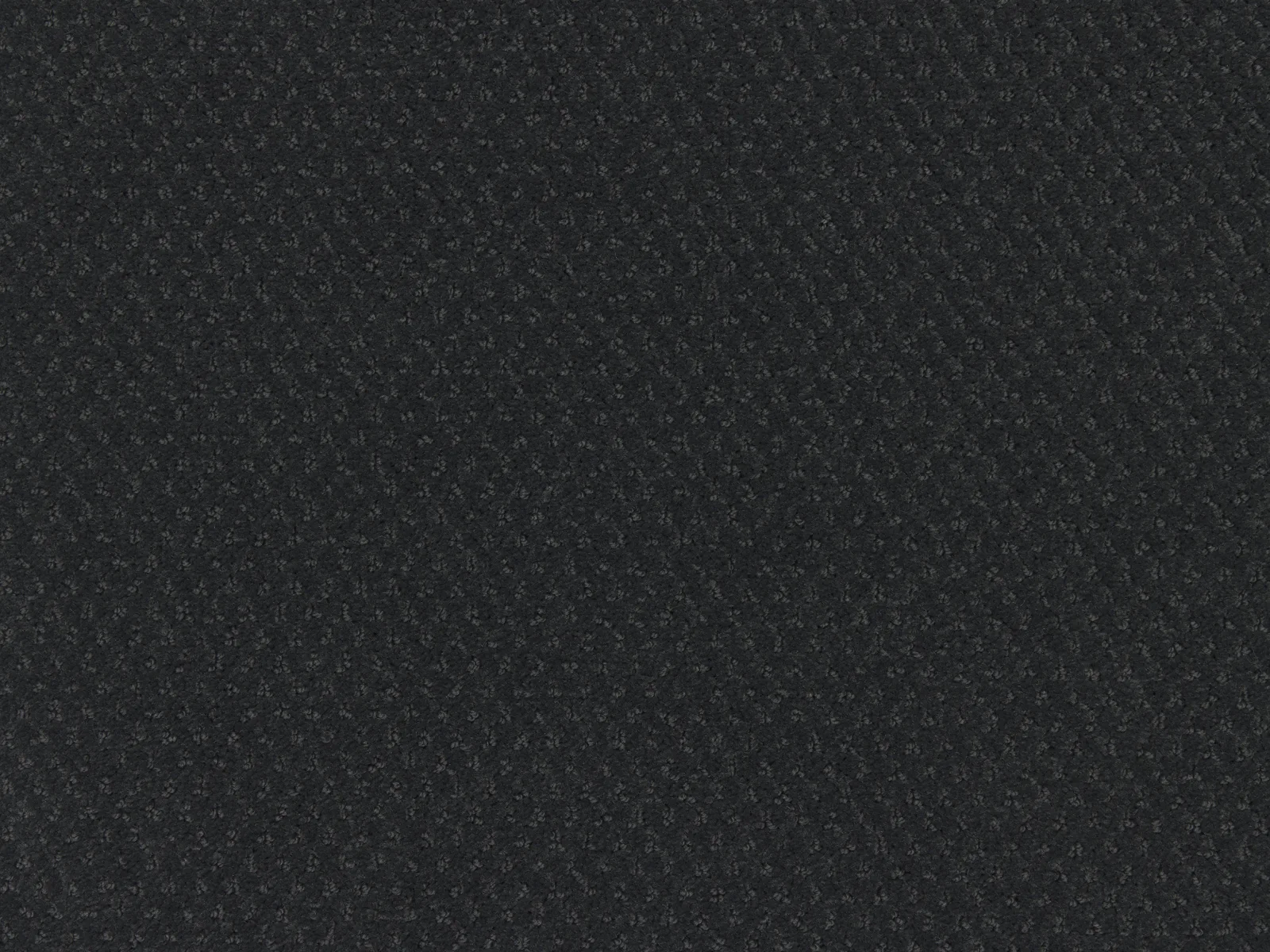 Carve Classic Carpet by Lano - Durable Polyamide