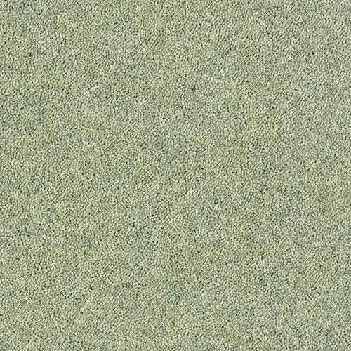 Royal Charter Deluxe Carpet by Abingdon Flooring