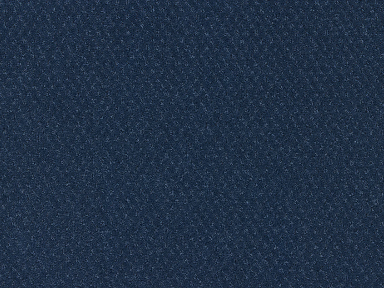 Carve Classic Carpet by Lano - Durable Polyamide