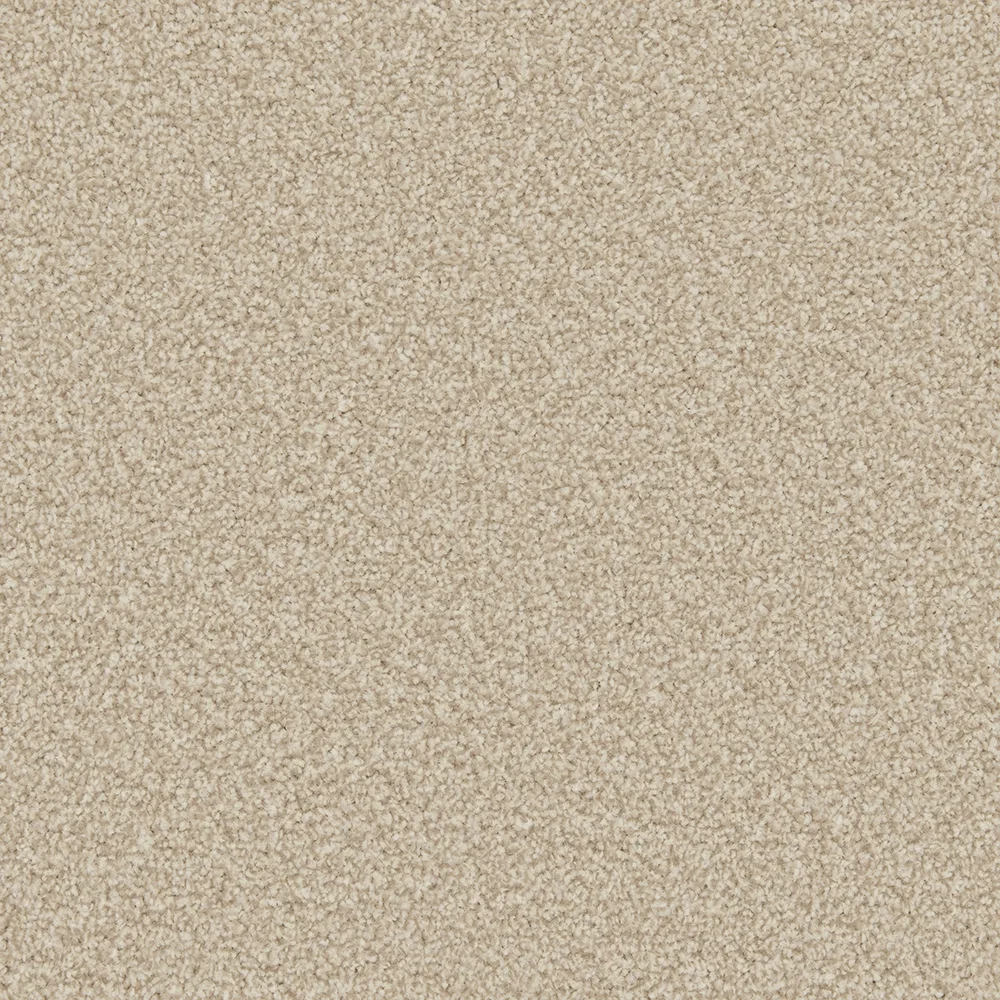 Apollo Plus Carpet by Cormar Carpets | Quality Flooring