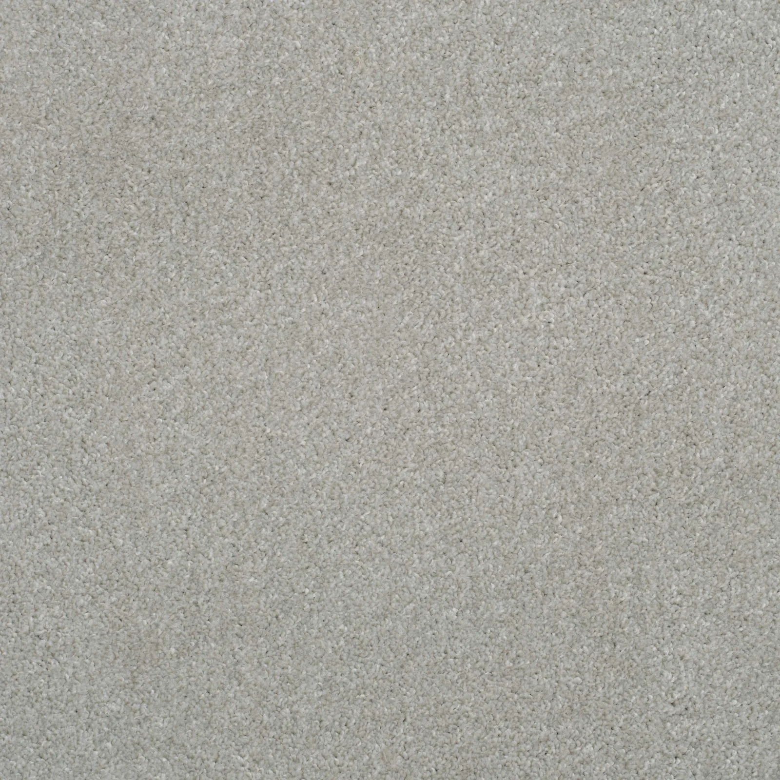 Super Twist Carpet by Balta - Quality Flooring in Wednesfield