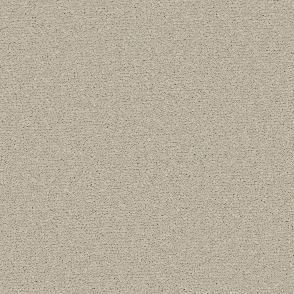 Apollo Plus Carpet by Cormar Carpets | Quality Flooring