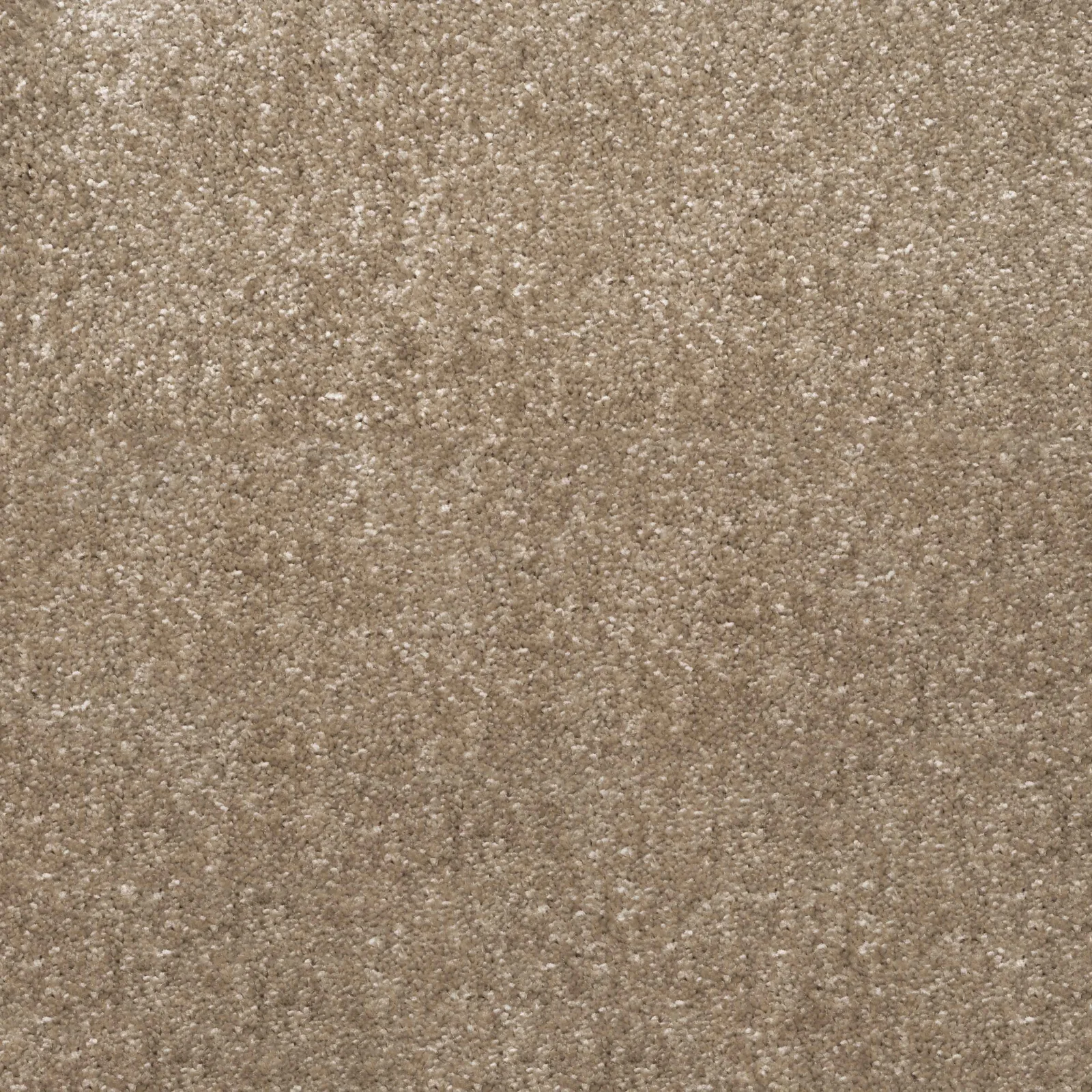 Ultra Saxony Carpet by Balta - Quality Flooring in Wednesfield