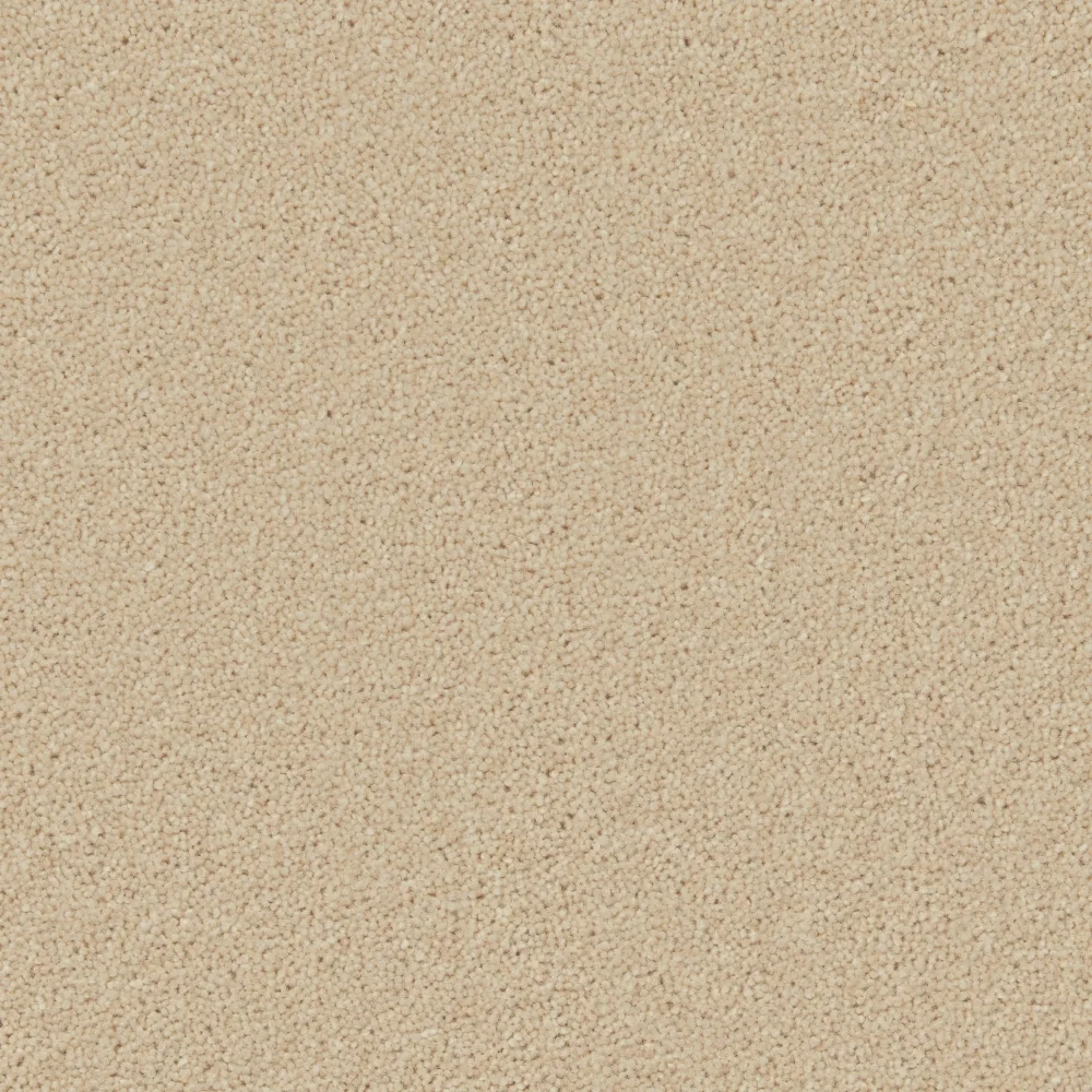 Hampstead Carpet by Cormar Carpets - Quality & Elegance