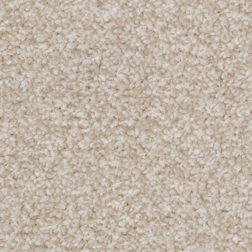 Splendid Saxony cornsilk