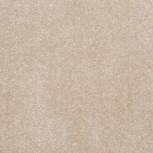 Atlantic macadamia