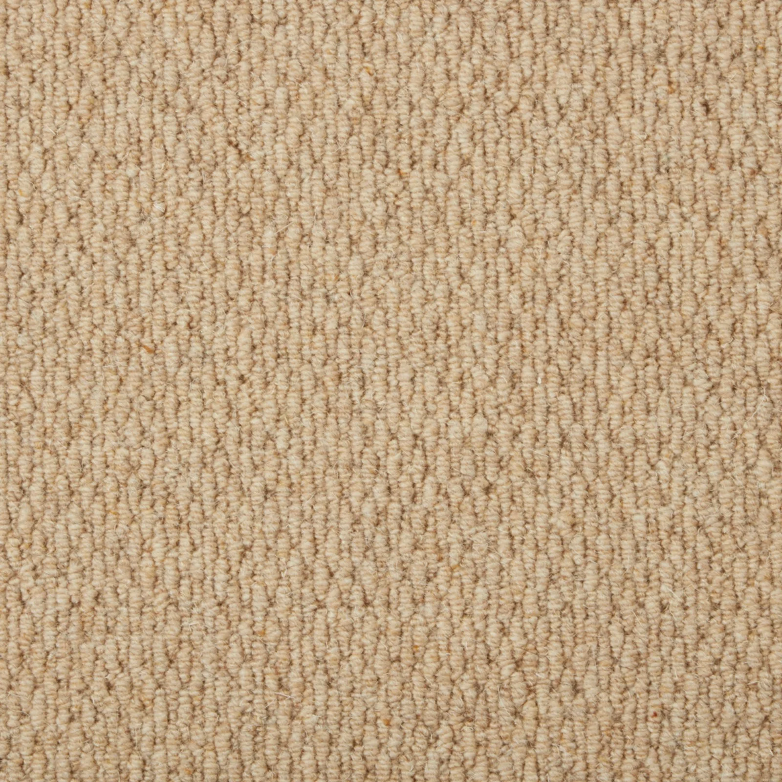 Malabar Two Fold