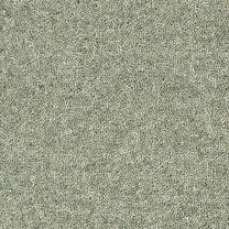 Greyling Mint Crisp