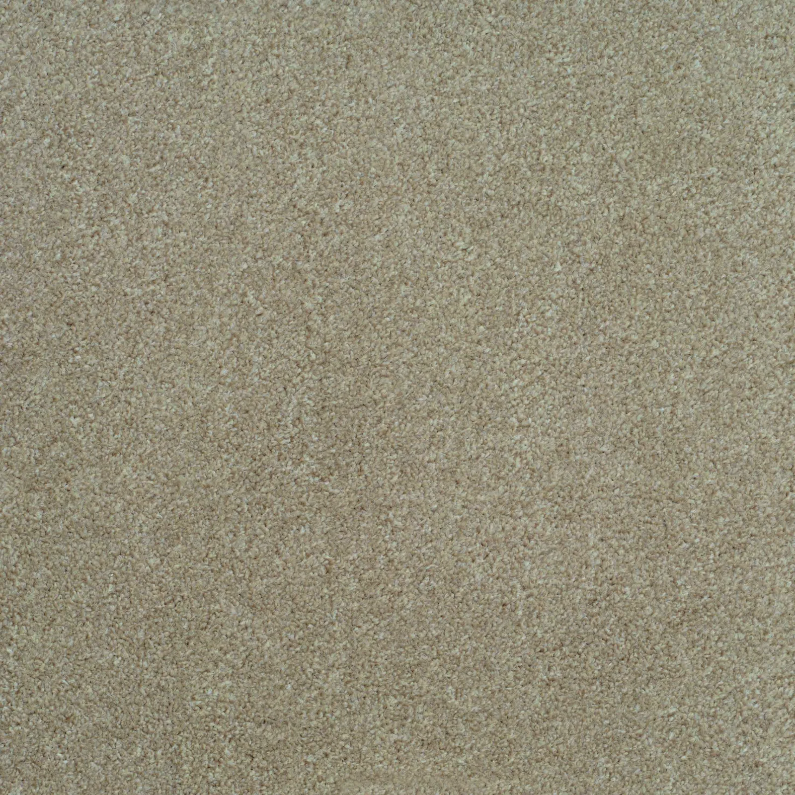Shepherd Twist Carpet by Balta - Quality Carpets WV11