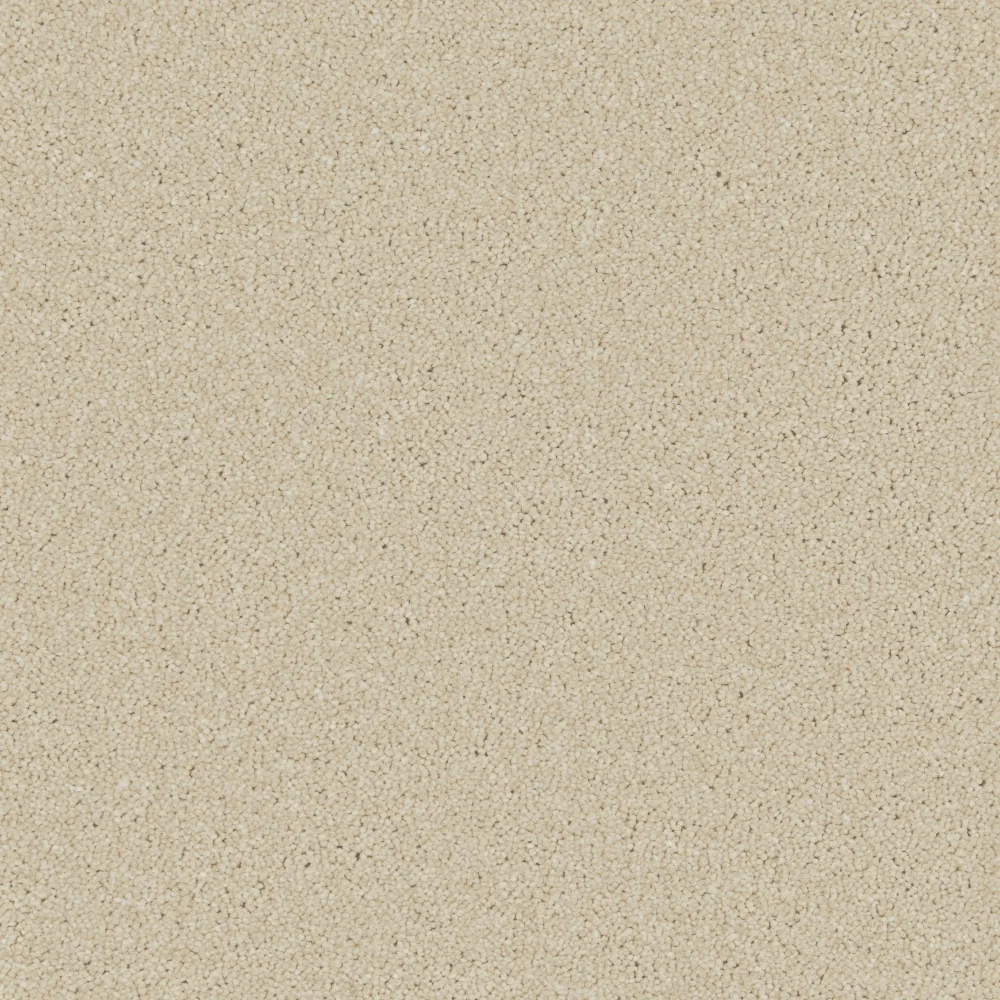 Zenith Carpet by Cormar Carpets - Quality Flooring