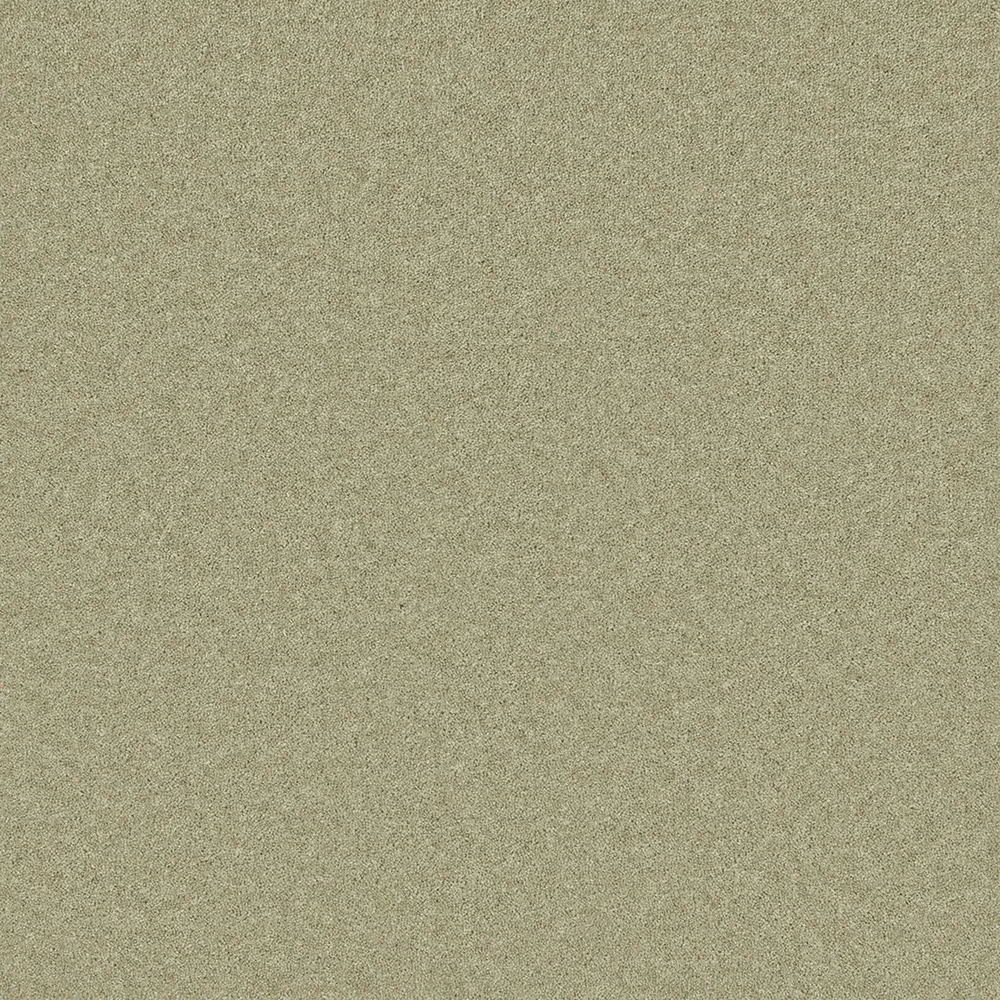 Pembroke Carpet by Cormar Carpets | Quality Flooring