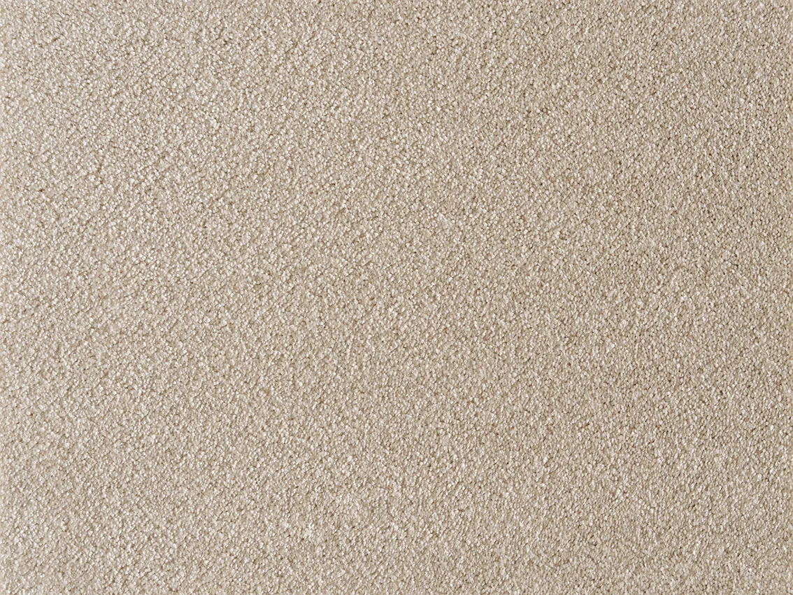 Satine Nova Carpet by Lano | Quality Carpets and Vinyl