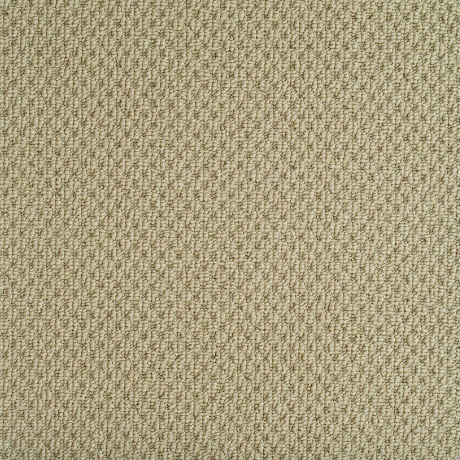 Designer Style Carpet by Balta - Quality Flooring