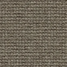 Laverton Wool Loop Shark