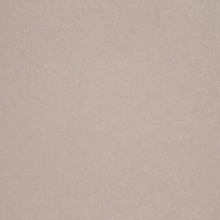 Magna Carta
